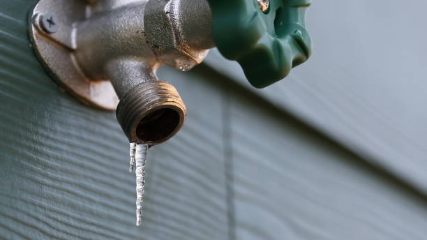 Best Local Plumber Services  in Sandoval, IL