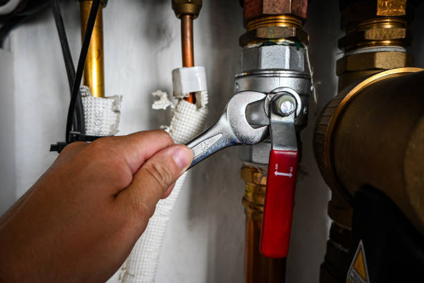 Best Plumbing Inspection Services  in Sandoval, IL